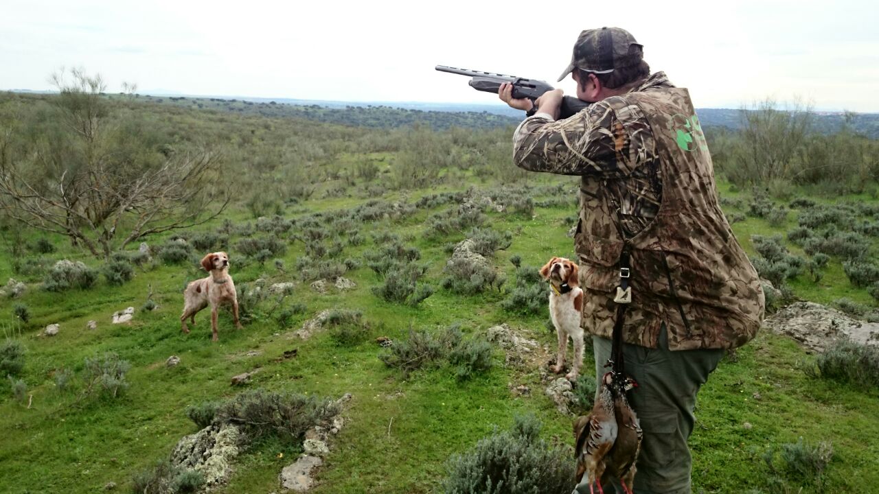 El sector de la caza invierte 230 millones en conservación medioambiental, según un informe